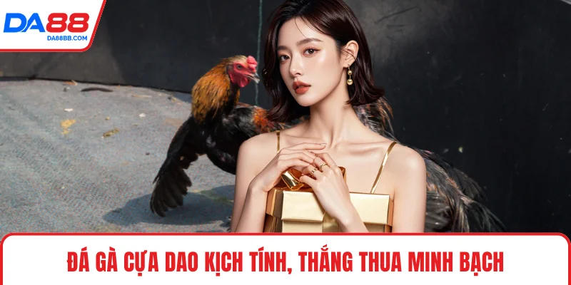 Đá gà cựa dao kịch tính, thắng thua minh bạch