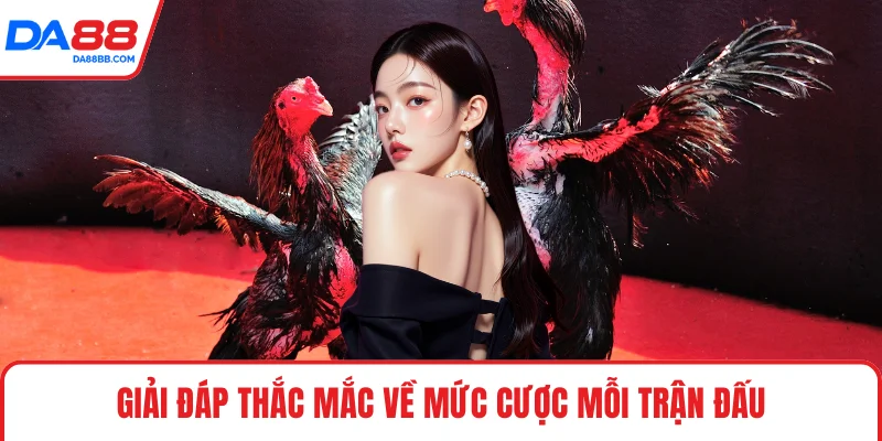 Giải đáp thắc mắc về mức cược mỗi trận đấu