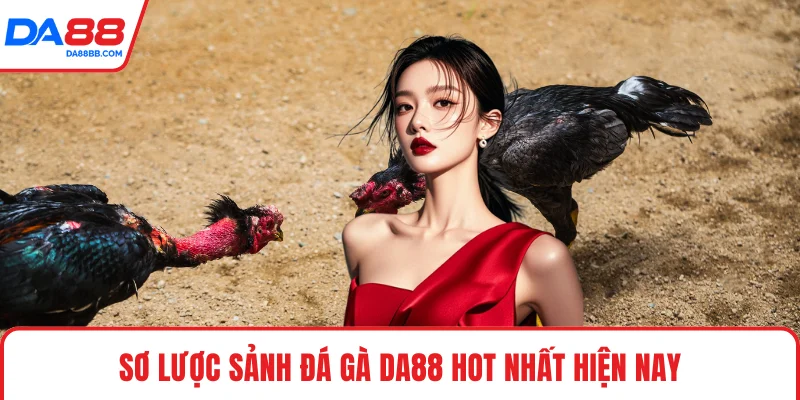 Sơ lược sảnh đá gà DA88 hot nhất hiện nay